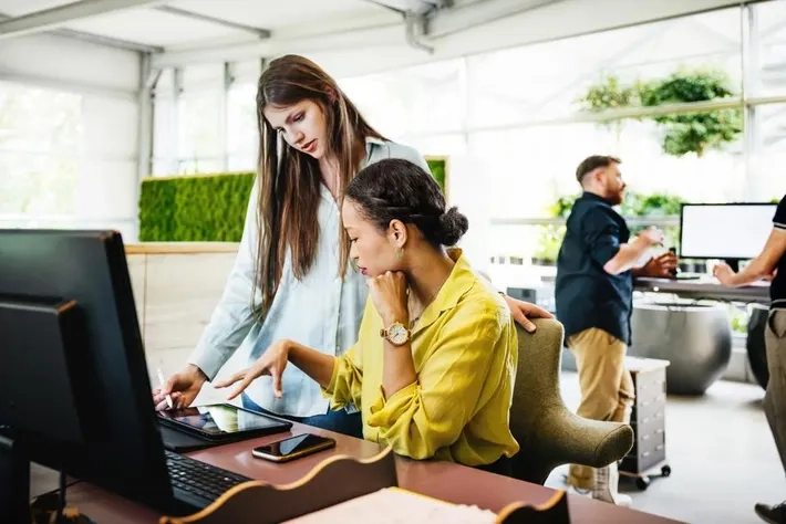 How Essay Writing Services Can Enhance Effective Collaboration for SEO Success